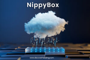 NippyBox: The Secure Cloud Storage Solution for Modern Users