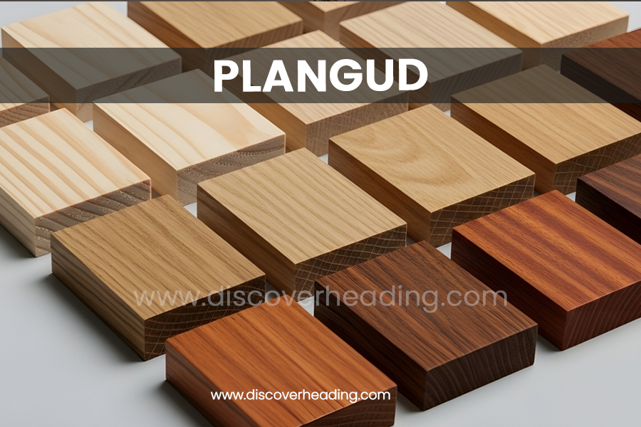 Plangud: Precision Digital Design, Features, Benefits & Future