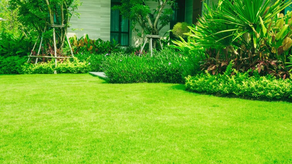 greener grass landscaping