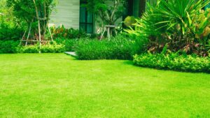 greener grass landscaping